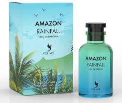 Amazon Rainfall